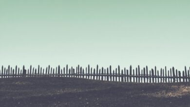 Photo Automated Posts