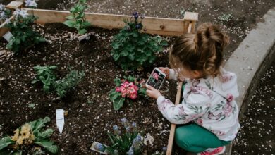 Photo Community garden
